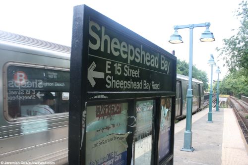 sheepshead_bayb38