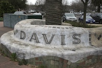 davis21