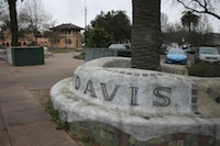 davis37