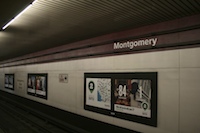 montgomery18