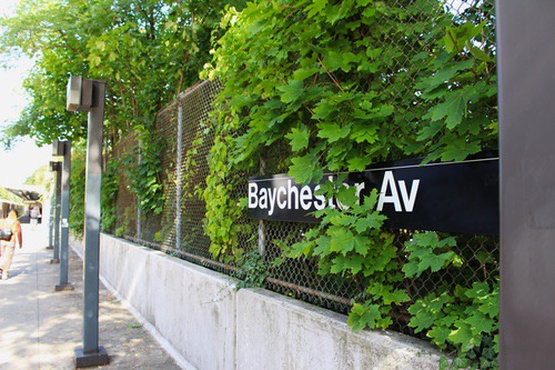 baychestern547