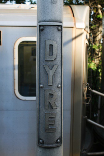 dyren527