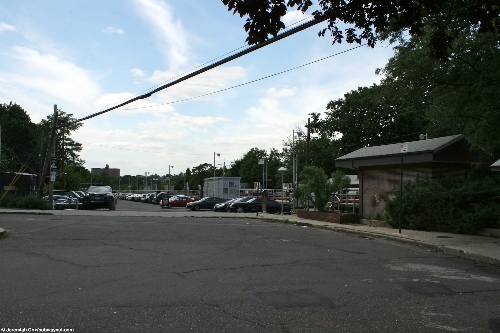 douglaston1