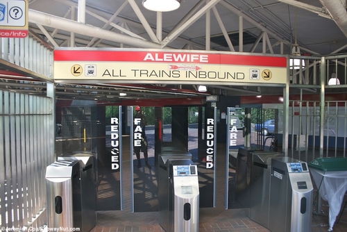 alewife14