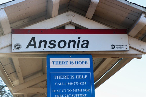 ansonia24