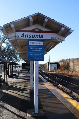 ansonia25