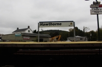 hawthorne23