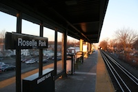 roselle_park31